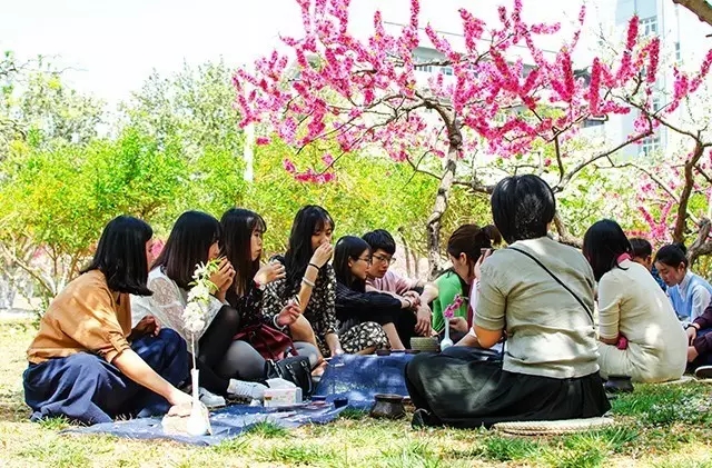 四心堂普洱茶 四心堂普洱茶