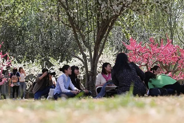 四心堂普洱茶 四心堂普洱茶